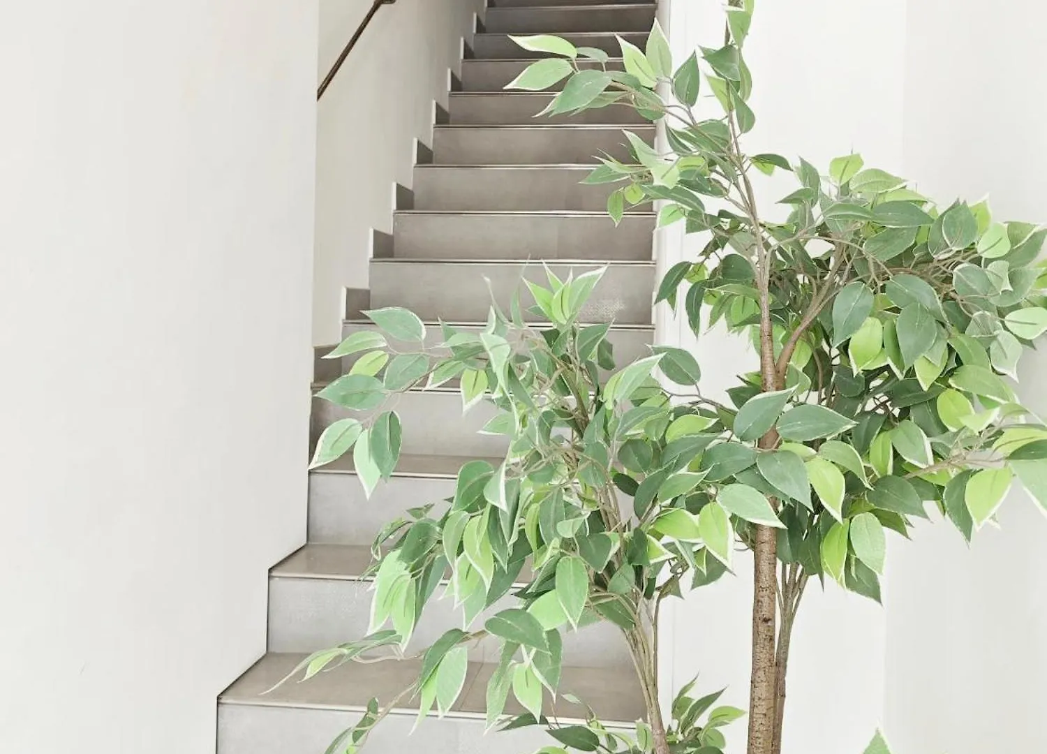 Cassis Loc - Chambre Meublee Vendégház